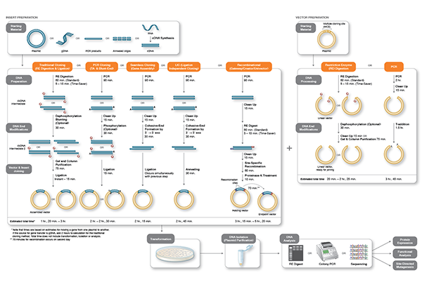 download protein kinase protocols