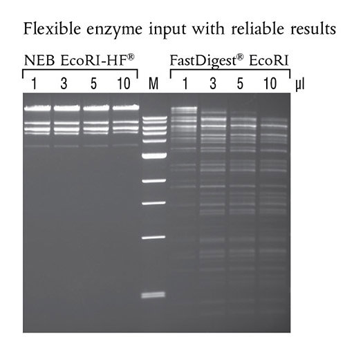 Flexible_Enzyme_Gel_M