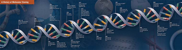 NEB_History_of_cloning