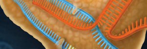 Genome Editing Header