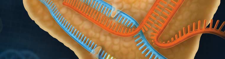 Genome Editing Header