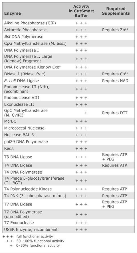 Fermentas Restriction Enzymes Buffer Activity Chart