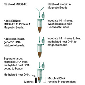microbiome_workflow