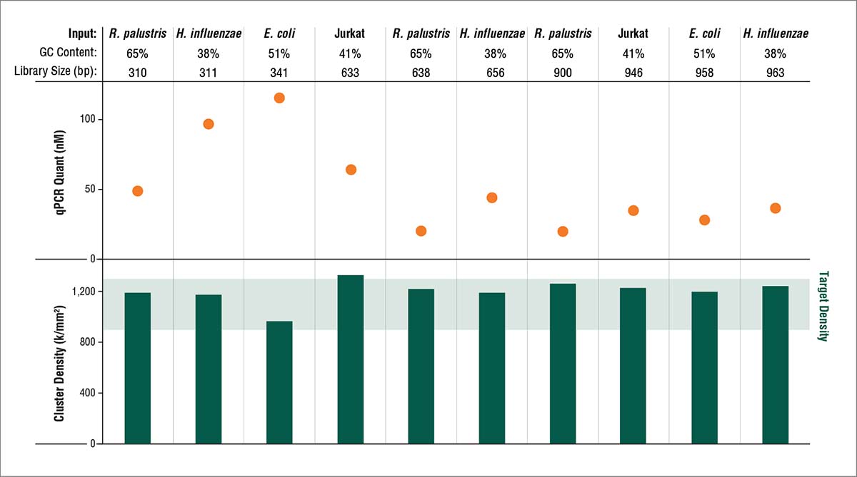 NEBNext Quant Kit Graph