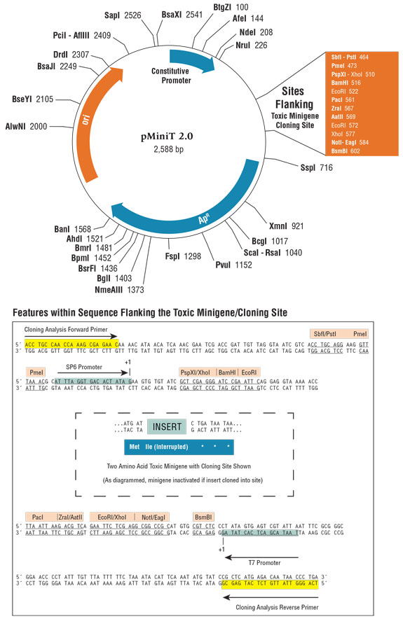 NEB PCR Cloning Kit pMIniT 2.0