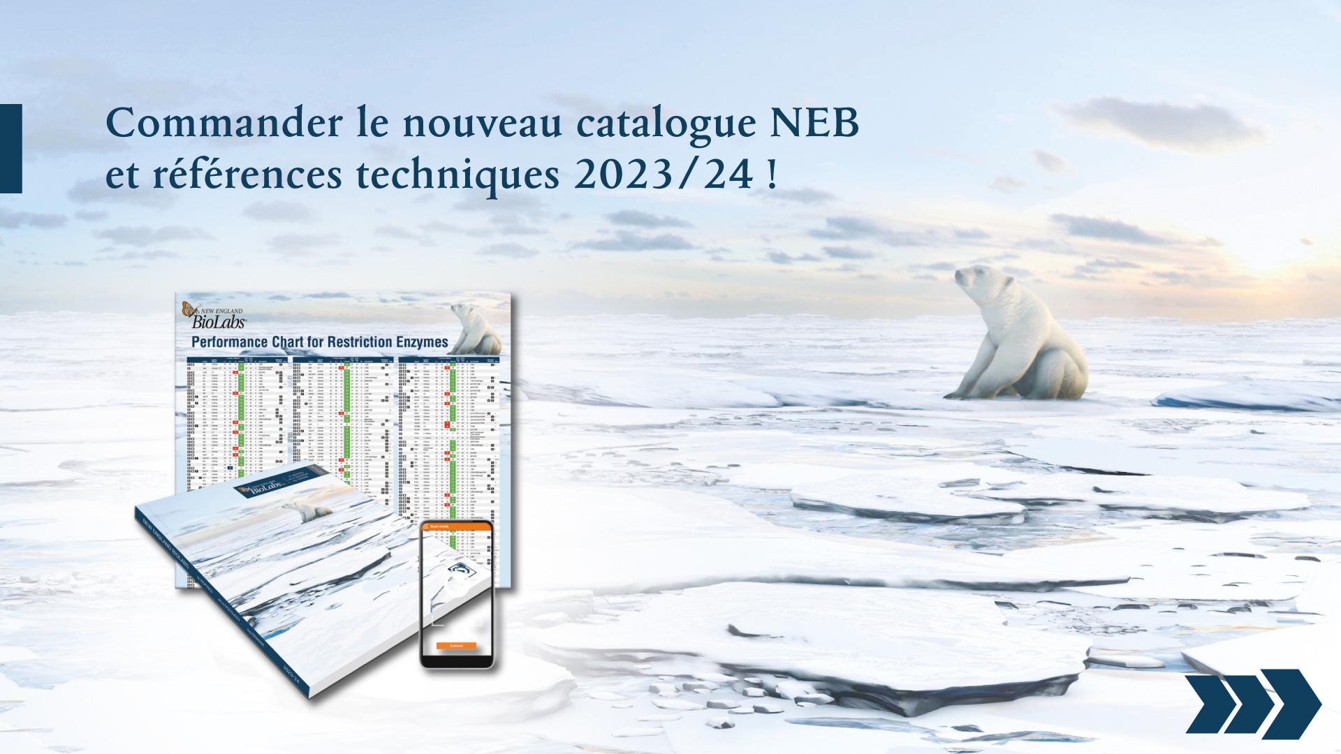 Catalogs & Literature New England Biolabs France