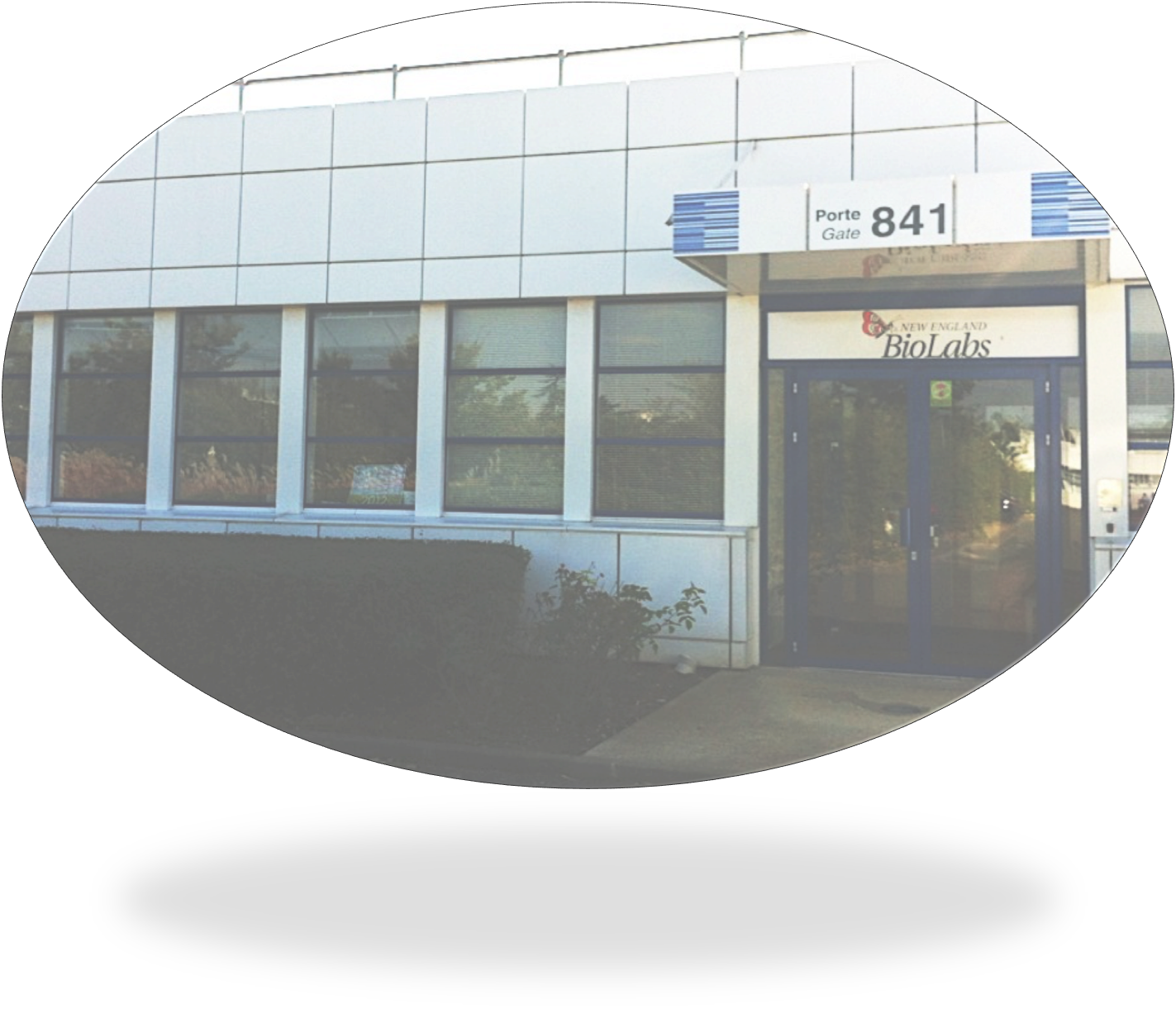 About neb new england biolabs