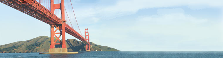 NEB Golden Gate Assembly